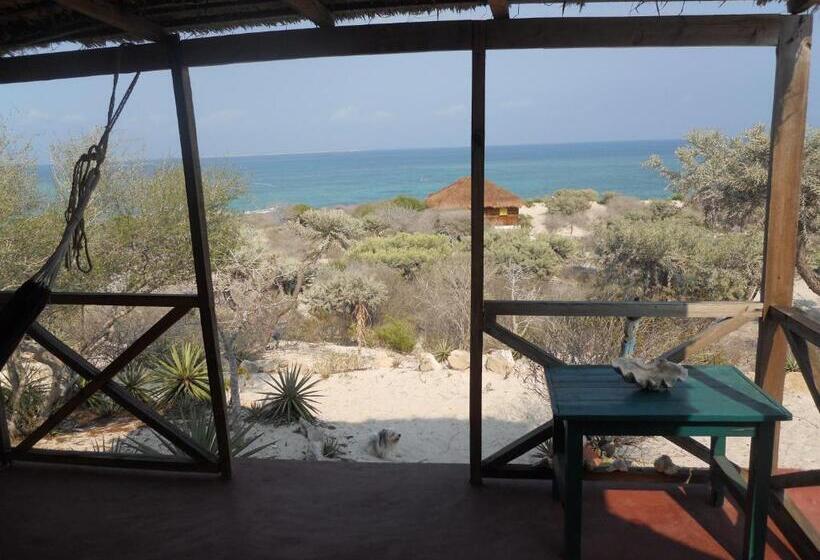 ویلای استاندارد با چشمانداز باغ, Longo Vezo