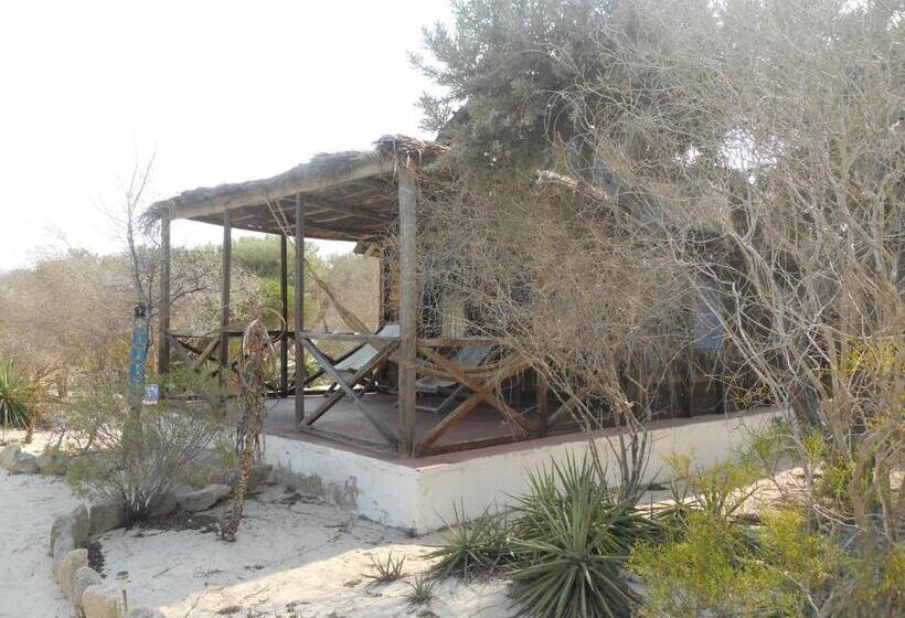 ویلای استاندارد با چشمانداز باغ, Longo Vezo