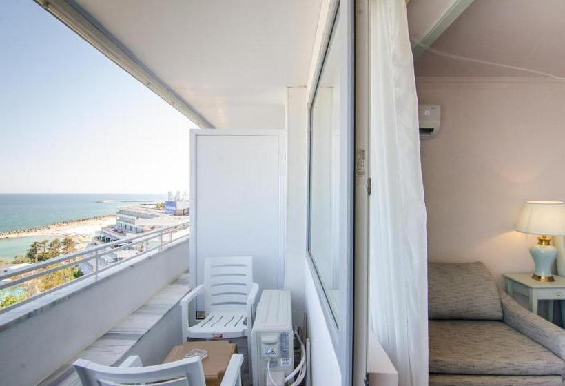 带海景的带双人床的标准间, Phoenicia Blue View