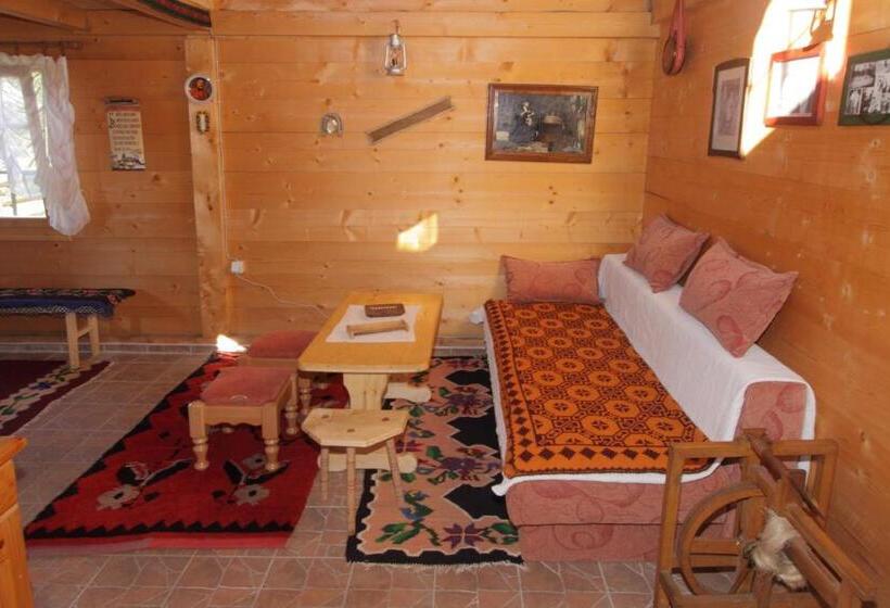 آپارتمان 1 خوابه, Apartments Vila Selena   Golija