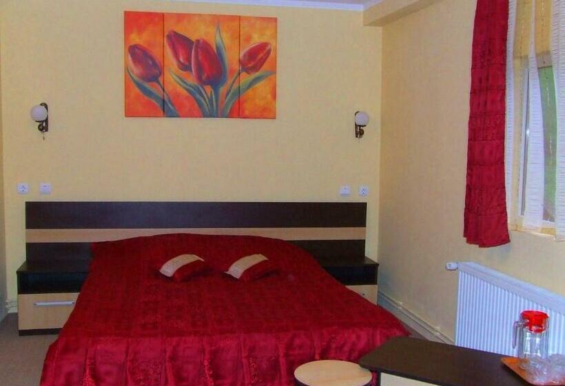 침실 1개 주택, Pensiunea Dorali