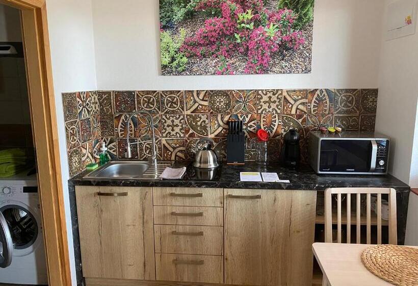 带1个卧室的高级公寓, Apartmány Přítluky