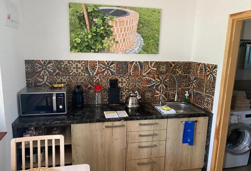 带1个卧室的高级公寓, Apartmány Přítluky