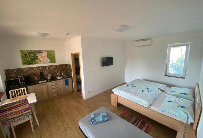 带1个卧室的高级公寓, Apartmány Přítluky