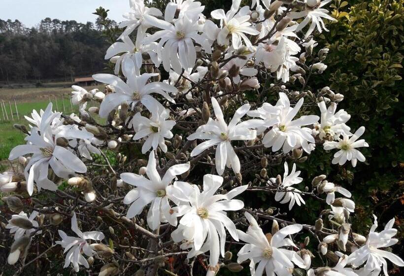 غرفة عائلية, Casa San Felice