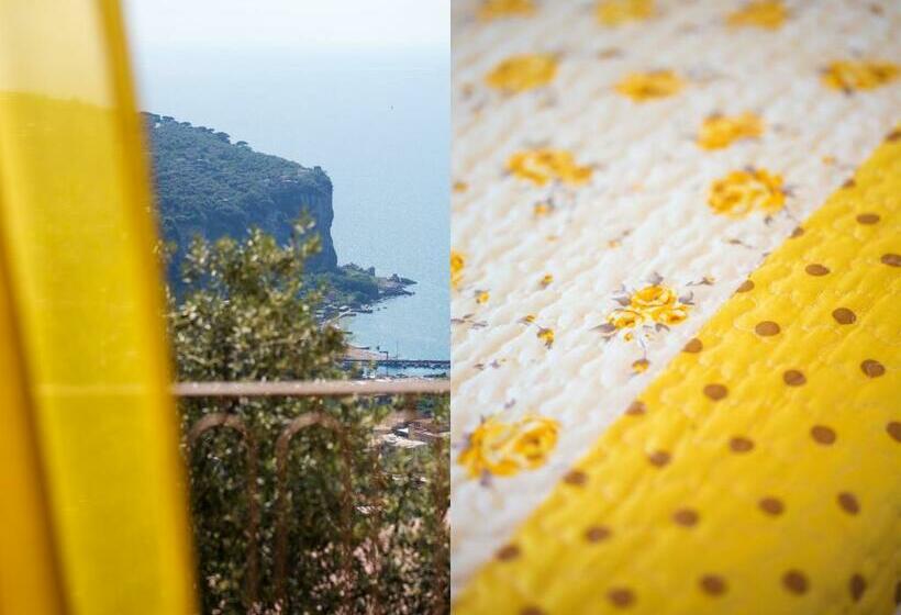 带海景的标准房, L Ulivo Resort