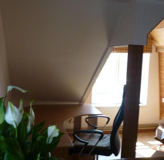 استودیوی استاندارد, Marigolds