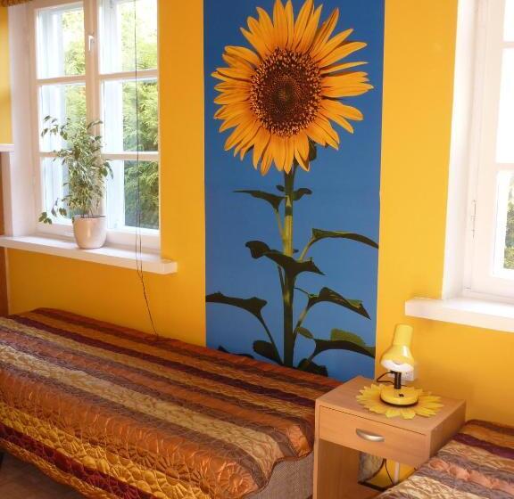 اتاق استاندارد, Marigolds