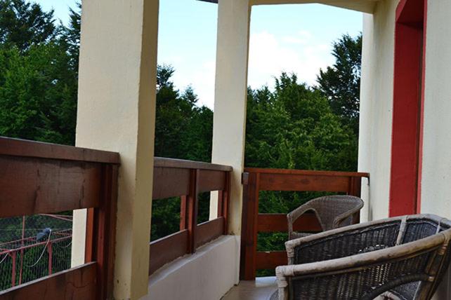 Номер Стандарт с Балконом, Pensiunea Daniels