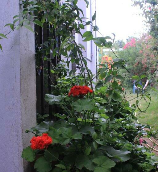 1베드룸 아파트 1층, Rawnaq Al Hada Aparthotel Al Taif, Al Hada