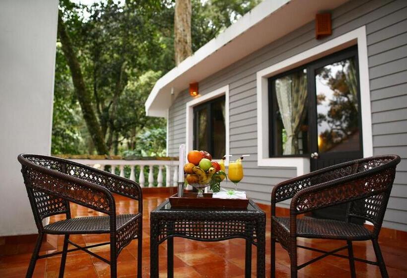 Suíte, The Tall Trees