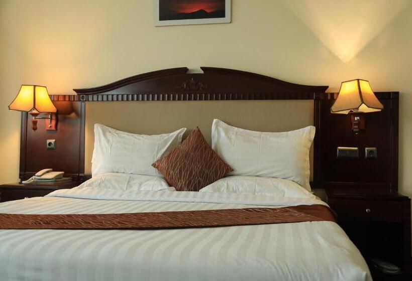 اتاق استاندارد یک نفره, Debredamo