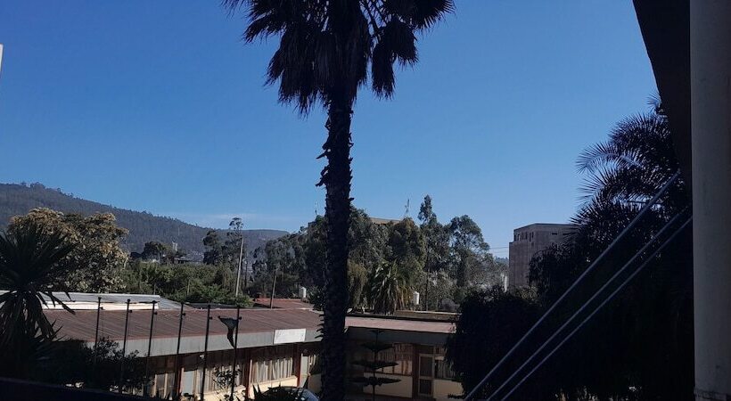 سوییت, Debredamo