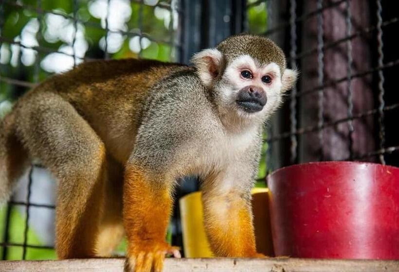 غرفه قياسيه سريرين مزدوجين, Pez Vela