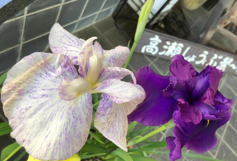 סוויטה, Satsuki Bessou