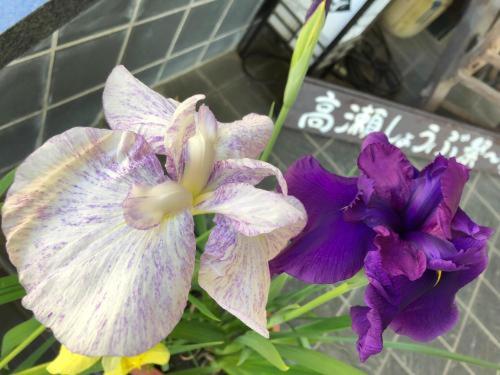 חדר סטנדרט, Satsuki Bessou