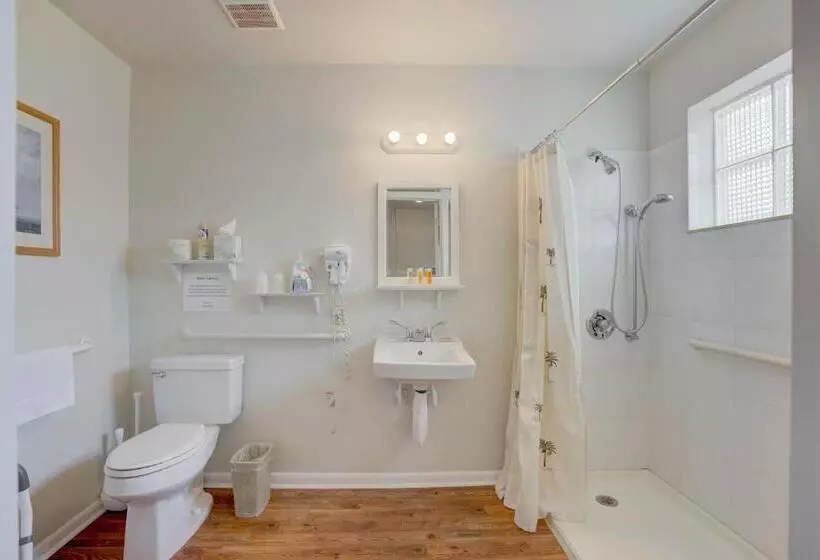身障者適用シングルルーム, Tequesta Palms Inn