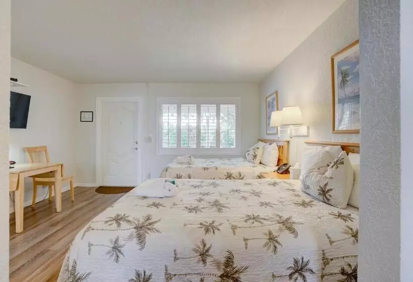 エコノミールーム, Tequesta Palms Inn
