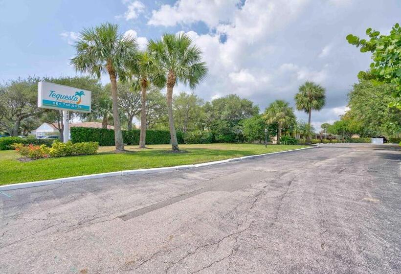 Номер Стандарт, Tequesta Palms Inn