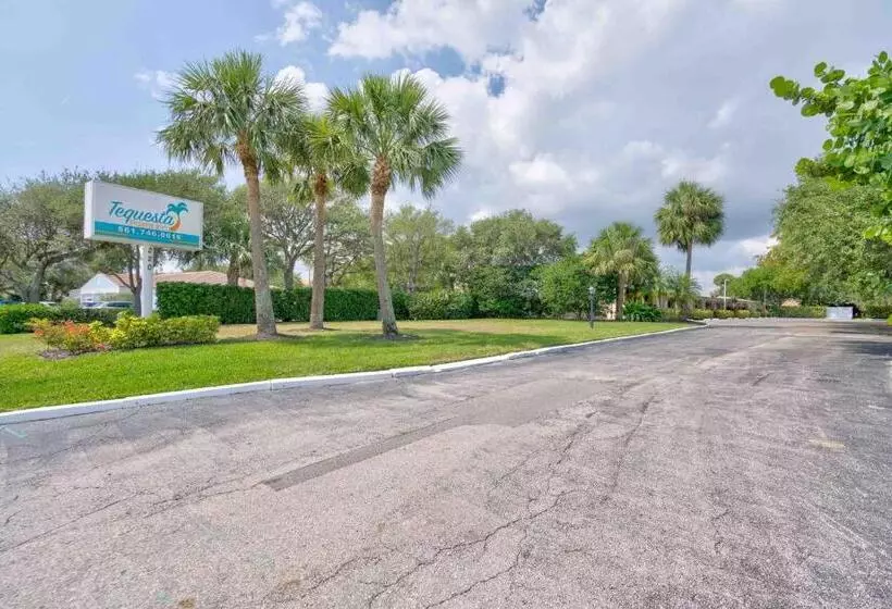 スタンダードルーム, Tequesta Palms Inn