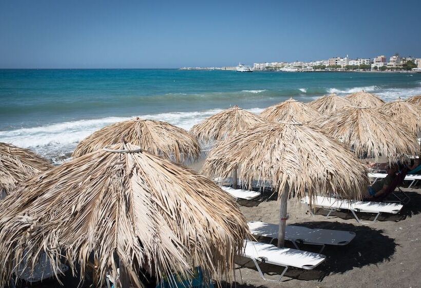 스탠다드 도시전망 룸, Coral