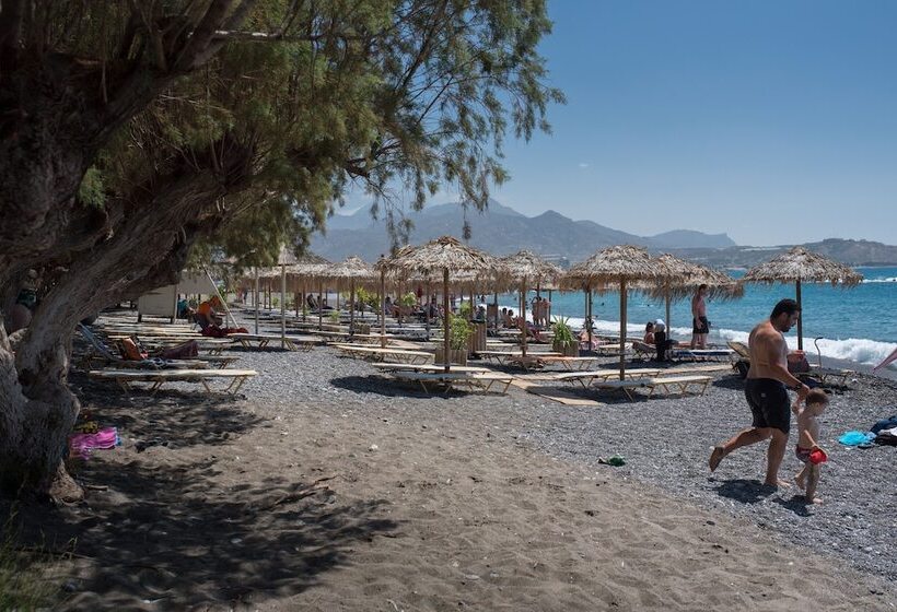 이코노미 룸, Coral