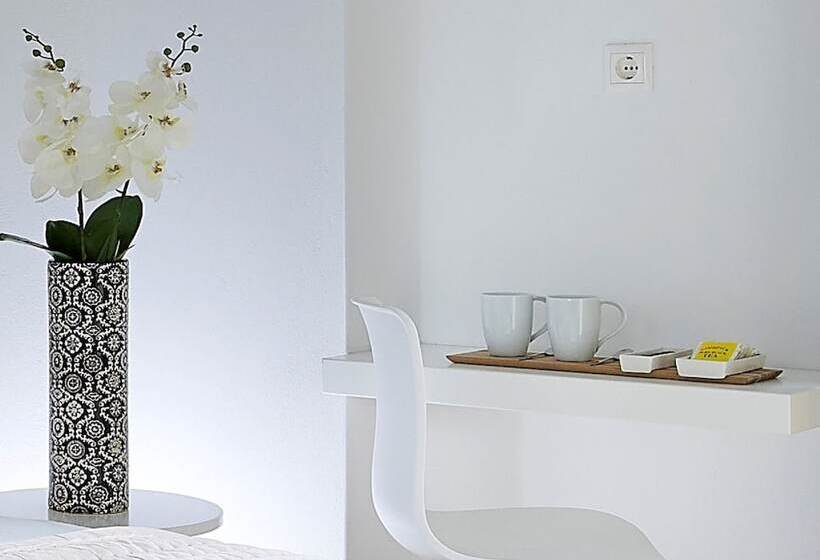 이코노미 룸, Coral