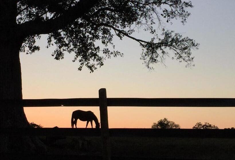 غرفة قياسية سرير كينج, The Farmhouse Inn