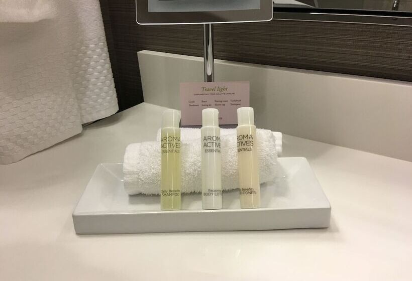 장애인을 위한 킹사이즈 침대 스탠다드 룸, Doubletree By Hilton Reading