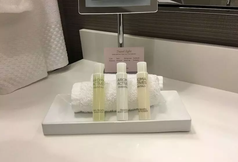 身障者適用キングサイズベッドルーム, Doubletree By Hilton Reading