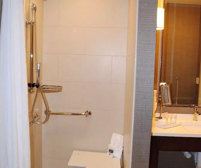 身障者適用キングサイズベッドルーム, Doubletree By Hilton Reading