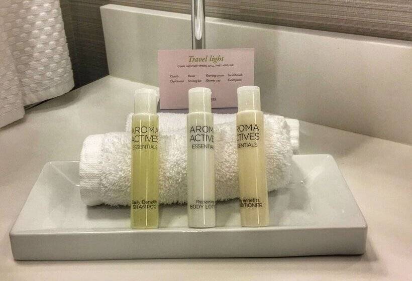 장애인을 위한 킹사이즈 침대 스탠다드 룸, Doubletree By Hilton Reading