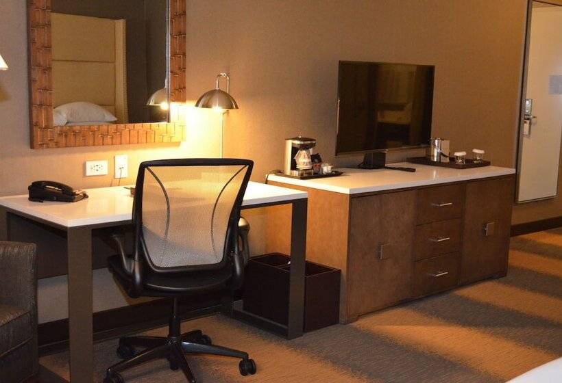 장애인을 위한 킹사이즈 침대 스탠다드 룸, Doubletree By Hilton Reading