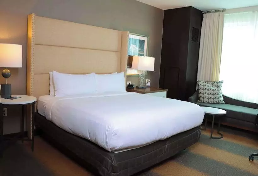 身障者適用キングサイズベッドルーム, Doubletree By Hilton Reading