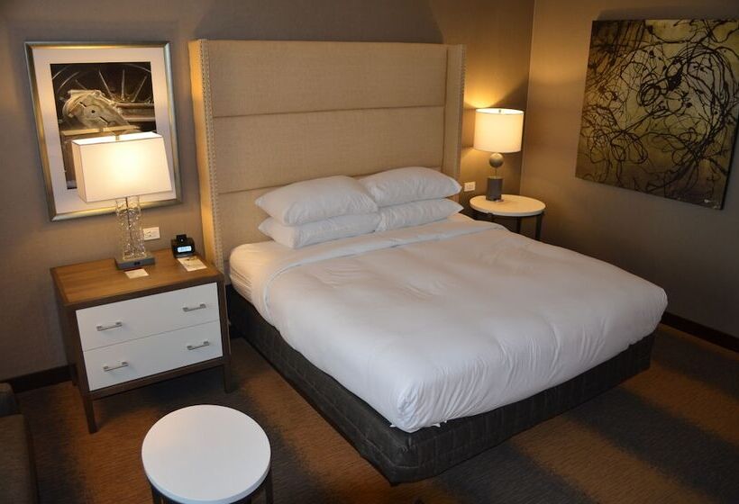 장애인을 위한 킹사이즈 침대 스탠다드 룸, Doubletree By Hilton Reading