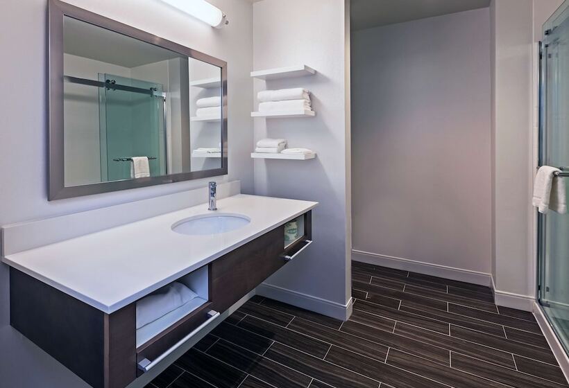 스탠다드 룸 킹사이즈 침대, Hampton Inn & Suites Georgetown/austin North