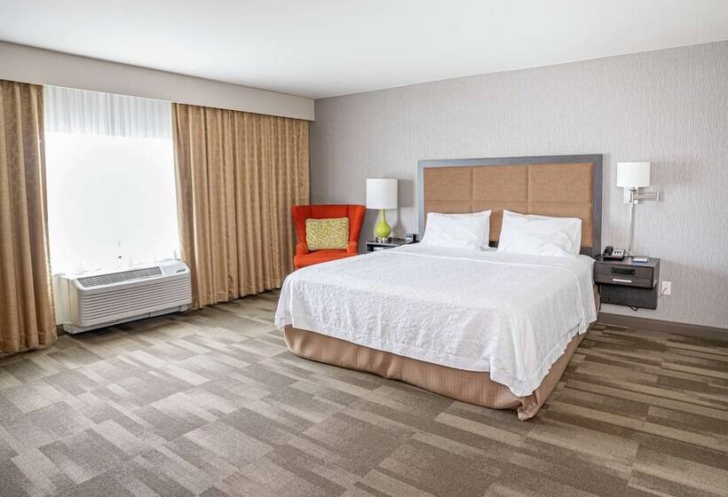 장애인을 위한 킹사이즈 침대 스탠다드 룸, Hampton Inn & Suites Georgetown/austin North