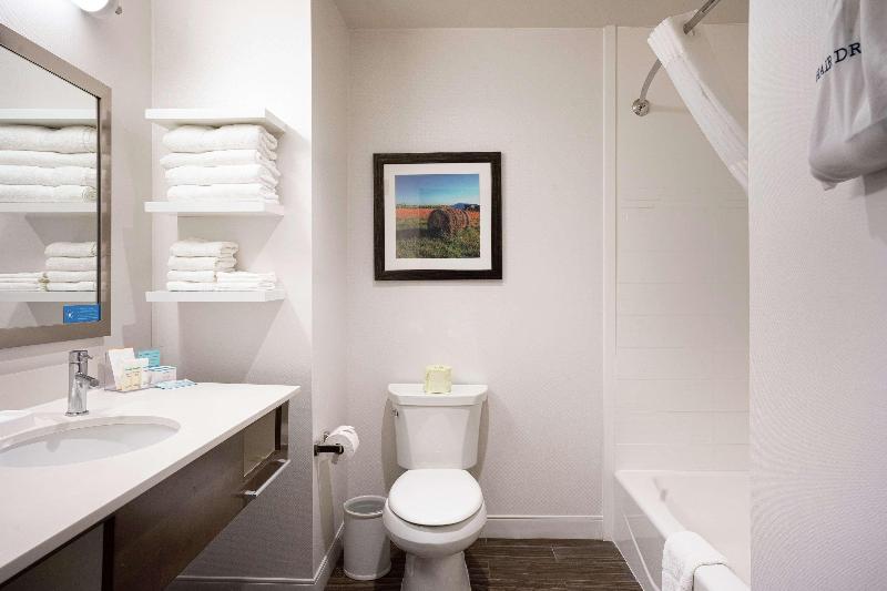 스탠다드 룸 킹사이즈 침대, Hampton Inn & Suites Georgetown/austin North