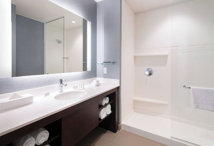 Suite, Residence Inn By Marriott Chicago Downtown/loop