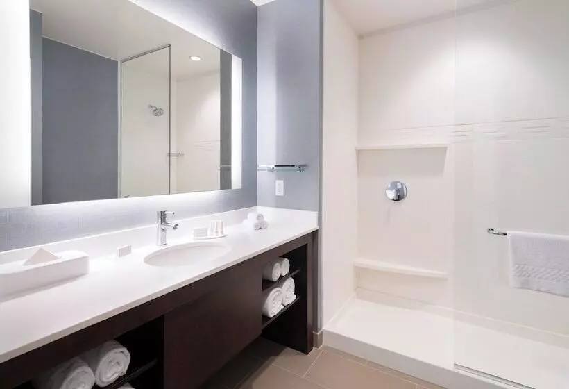 Sviitti, Residence Inn By Marriott Chicago Downtown/loop