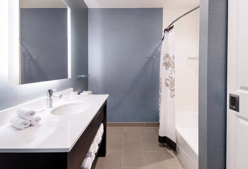 침실 2개 스위트, Residence Inn By Marriott Chicago Downtown/loop