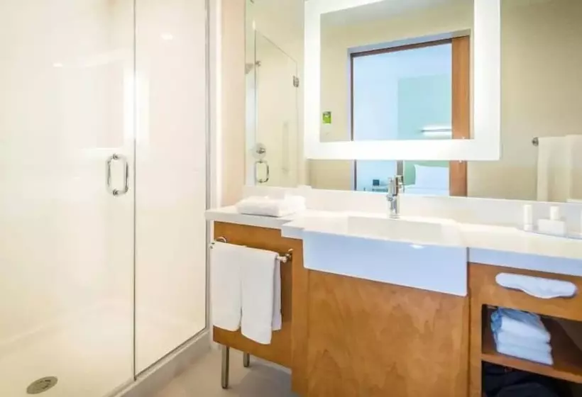 ダブルベッドのスタンダードスタジオ, Springhill Suites By Marriott Houston Westchase