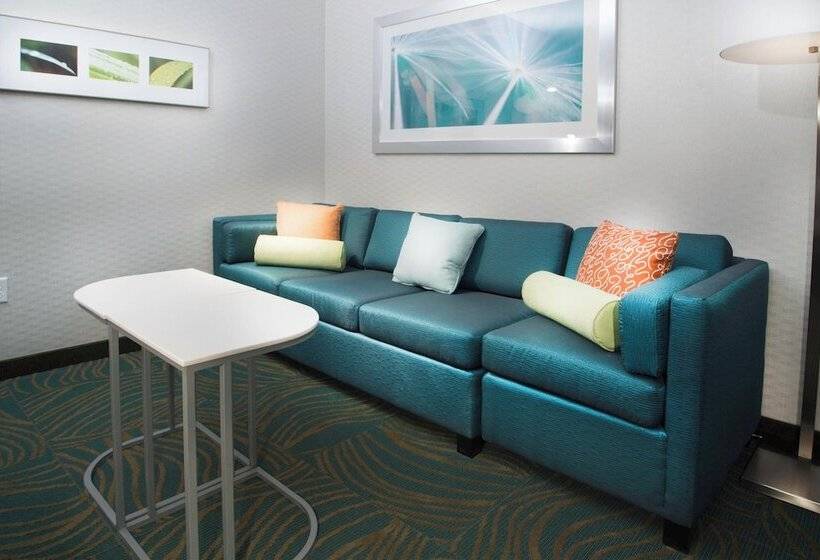 Студия Стандарт Двуспальная Кровать, Springhill Suites By Marriott Houston Westchase
