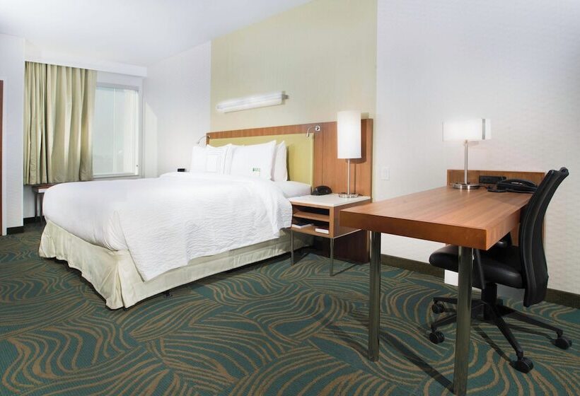 带双人床的标准工作室, Springhill Suites By Marriott Houston Westchase