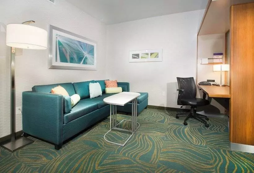 スタンダードスタジオ, Springhill Suites By Marriott Houston Westchase