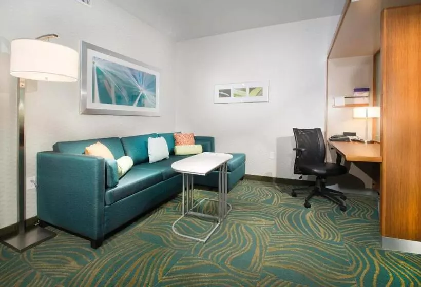キングサイドベッドのスタンダードワンルーム, Springhill Suites By Marriott Houston Westchase