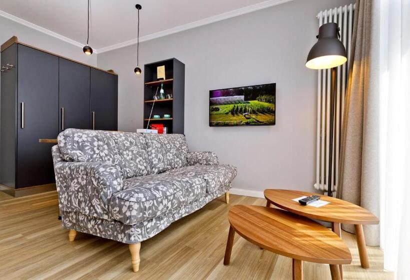 غرفة قياسية مزوَّدة بتراس, Logierhaus Rheintoreins