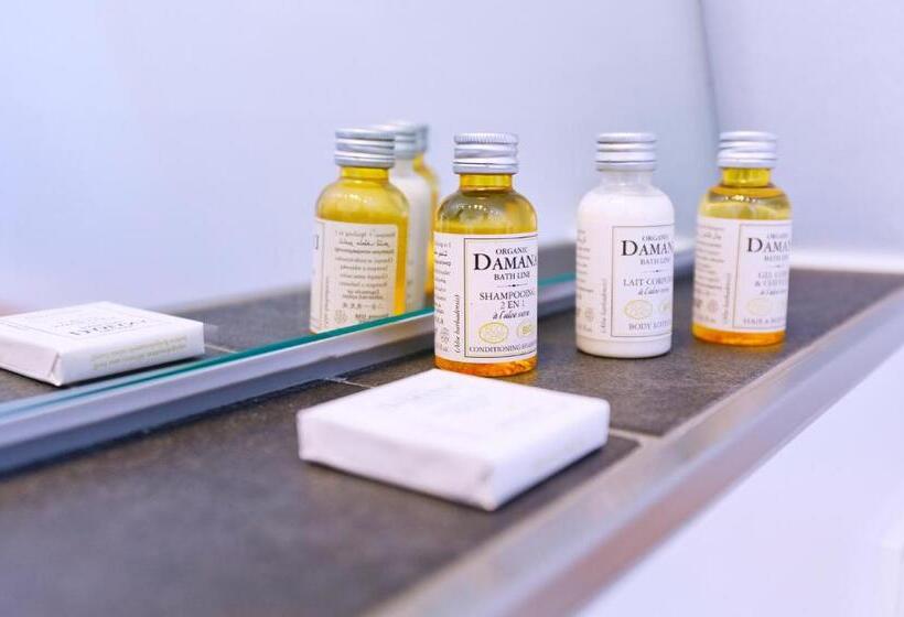 غرفة ديلوكس, Logierhaus Rheintoreins