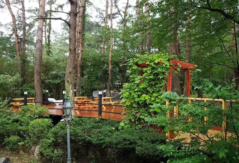 Standard-huone, Seorak Dongchun Youthtel Hostel