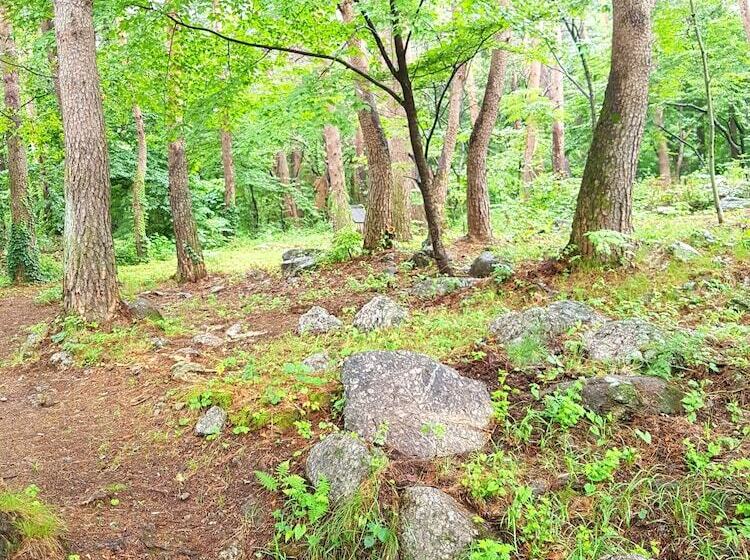 חדר סטנדרט, Seorak Dongchun Youthtel Hostel